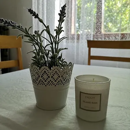 Διαμέρισμα Kalavojna