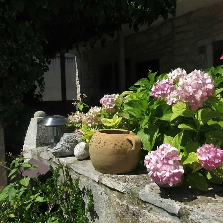 Kalavojna Διαμέρισμα